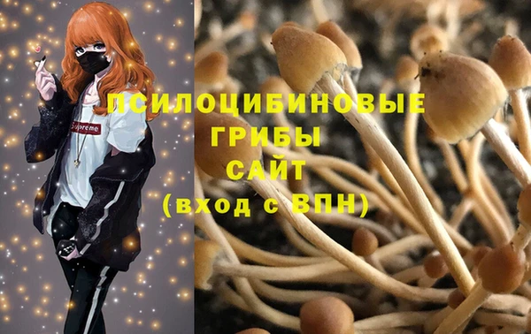 молекула духа Белоозёрский