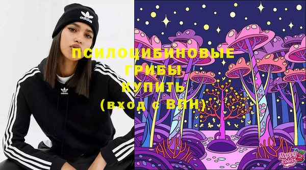 молекула духа Белоозёрский