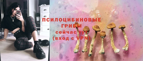 молекула духа Белоозёрский