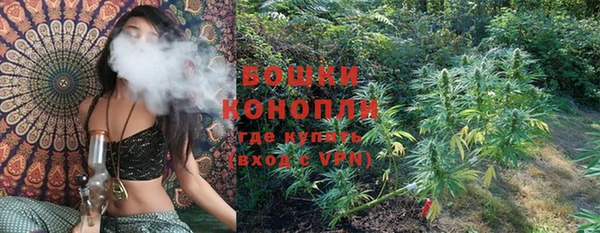 молекула духа Белоозёрский